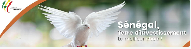 Ambassade du Sénégal  – Forum d&rsquo;Affaires sur le Tourisme et les Transports aériens – lundi 02 octobre 2023